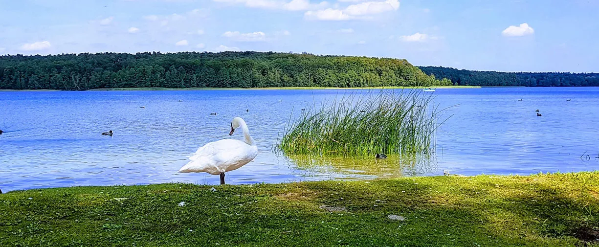 Туристическая база КОРМОРАН 02